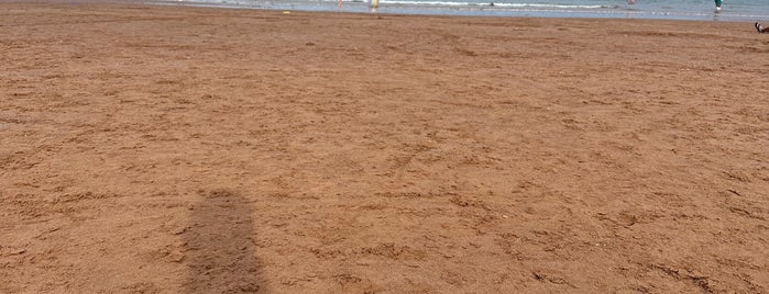 Goodrington Sands Beach is one of Guide to Torbay's best spots.