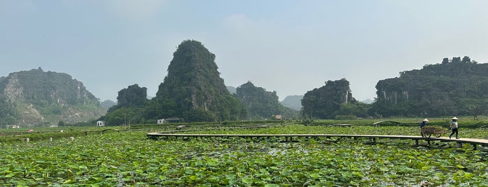 Hang Múa (Mua Caves) is one of Ninh Binh.