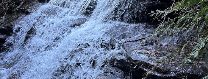 Leura Cascades is one of Llocs.