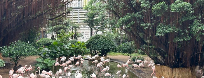 Kowloon Park Aviary is one of Hong Kong.