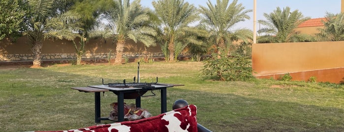 Farm - AlMuzahimiyah is one of Lugares favoritos de Boshra.