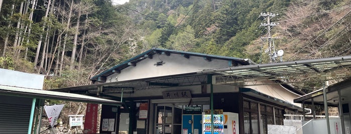 井川駅 is one of 終端駅(民鉄).
