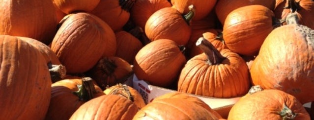 Linvilla Orchards is one of List.
