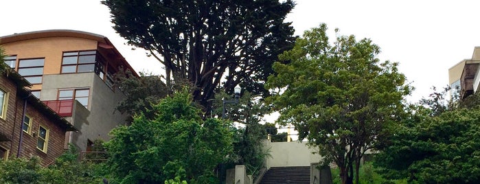 Sanchez Stairs is one of Stairs of San Francisco.