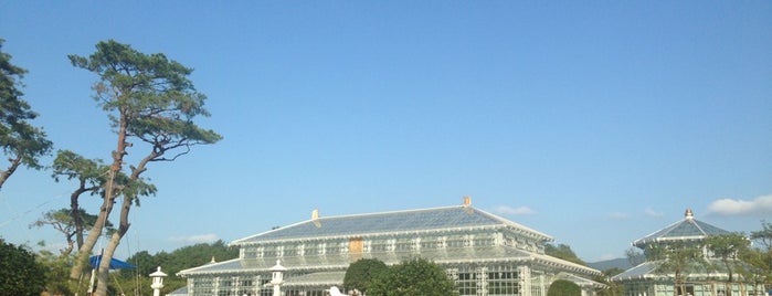 Gyeongju East Palace Garden is one of 경주 / 慶州 / Gyeongju.