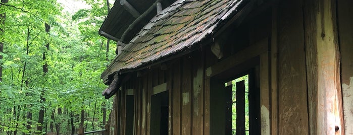 Mount Airy Forest Treehouse is one of Someday... (The Midwest).