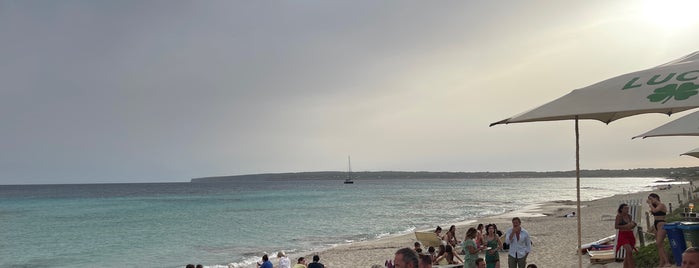 Lucky is one of Formentera.