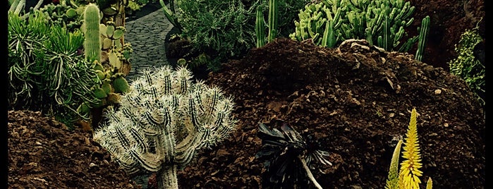 Jardin de Cactus is one of Orte, die Sébastien gefallen.