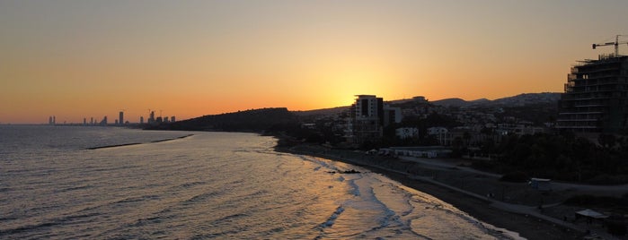 SeaShells is one of Vegan Places Cyprus.