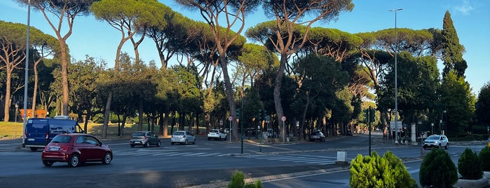Stadio delle Terme di Caracalla is one of VISTA CLUB ROMA LISTAIVAN 3381128328.