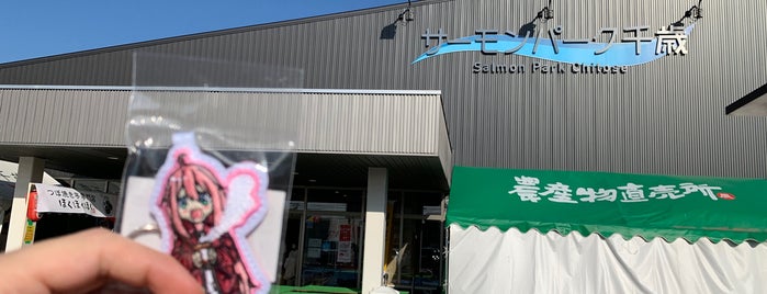 Michi no Eki Salmon Park Chitose is one of 道の駅.