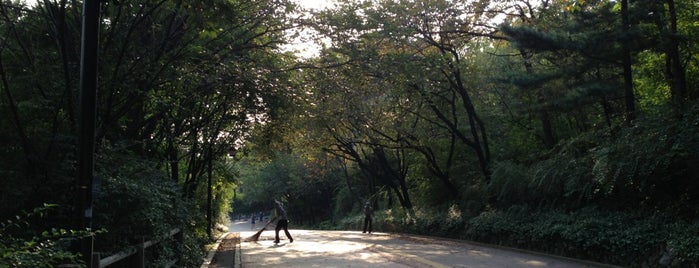 Namsan Walking Trail is one of สถานที่ที่บันทึกไว้ของ Anna.