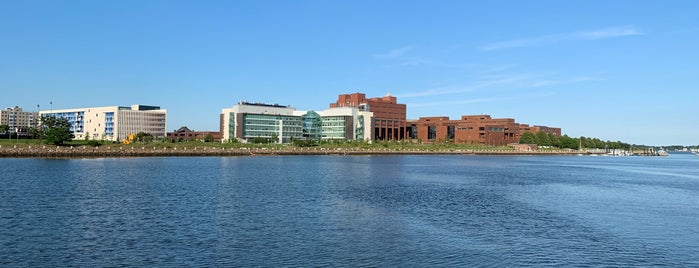 University of Massachusetts is one of Places I go to.