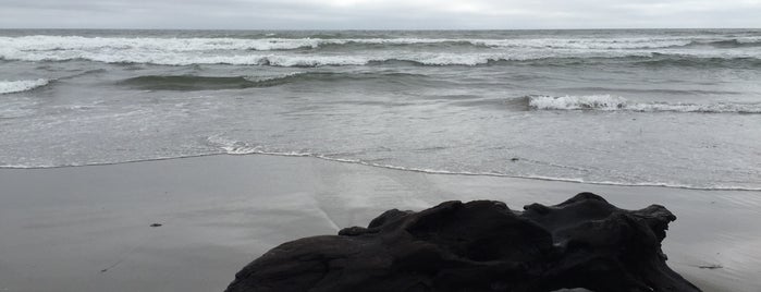 Zmudowski State Beach is one of HWY1: Santa Cruz to Monterey/Carmel.