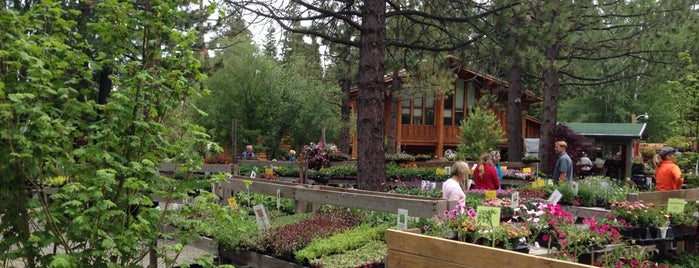 Tahoe Tree Company is one of Lugares favoritos de Shannon.