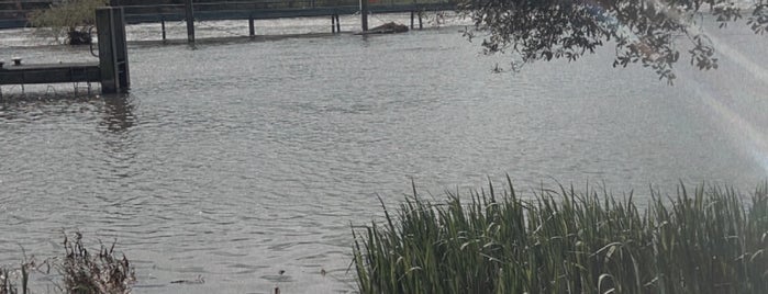 Marlow Lock is one of Places to visit.