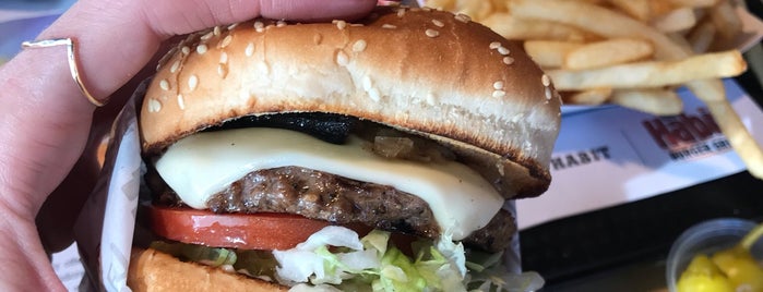 The Habit Burger Grill is one of Locais curtidos por Mauricio.