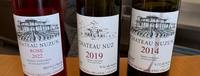 Chateau Nuzun is one of Winery.