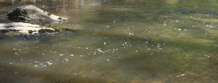 Meadowside Nature Center is one of Outdoors & Recreation.