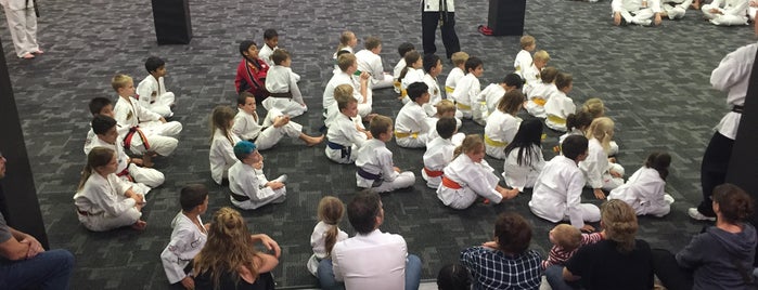 Keith Hafners Karate is one of Must-visit Gyms or Fitness Centers in Ann Arbor.