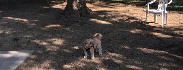 Uptown Dog Park is one of my fave places.