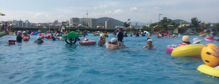 Jamwon Outdoor Swimming Pool is one of South Korea: Garosugil.