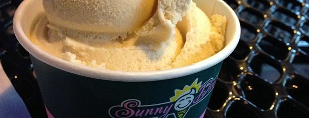 Sunny Daes Ice Cream is one of สถานที่ที่ Emily ถูกใจ.