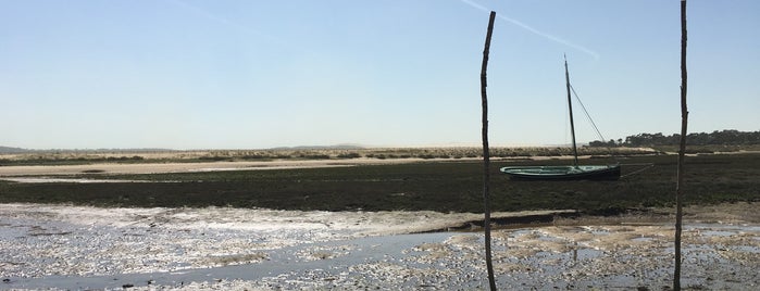 Plage de la Conche is one of Cap Ferret/bordeaux.