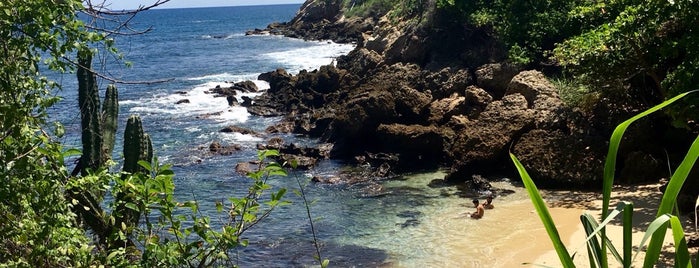 Playa Carrizalillo is one of สถานที่ที่ Jorge ถูกใจ.