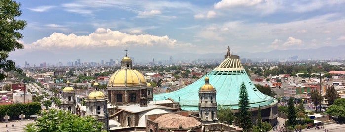 Cerro del Tepeyac is one of Jorge : понравившиеся места.