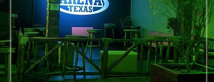 Arena Texas is one of สถานที่ที่บันทึกไว้ของ Leonardo.