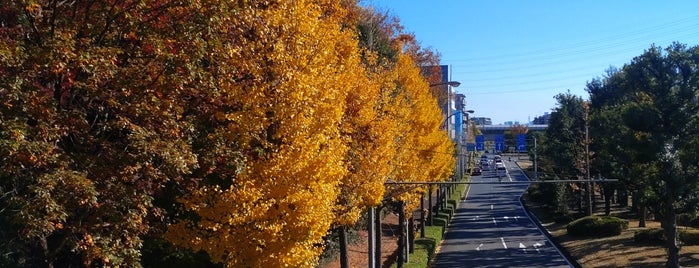 朝霧橋 is one of ゆうばえのみち.