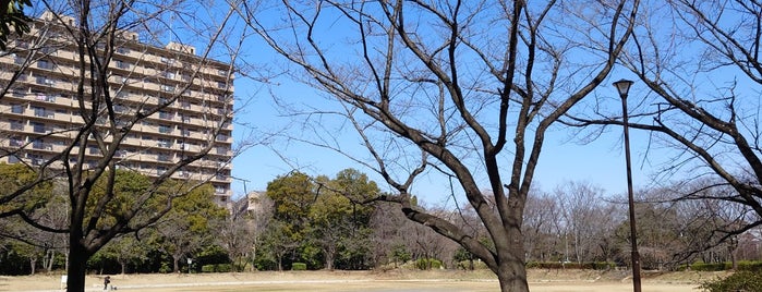 山崎公園 is one of 散歩にはとっておきの公園.