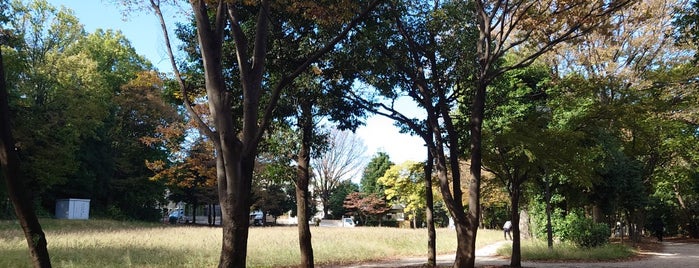 葛ケ谷公園 is one of Park.