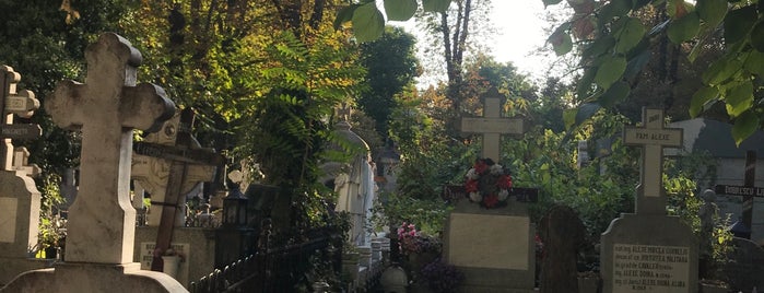 Cimitirul Bellu is one of Lugares favoritos de Carl.