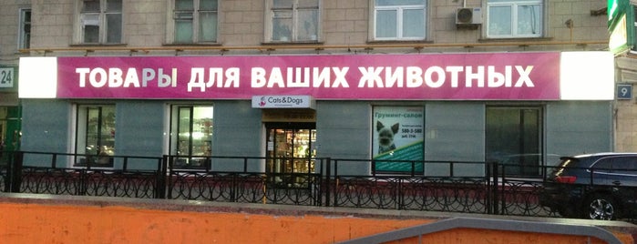 Симони Магазин Мужской Одежды Официальный Сайт Электросталь