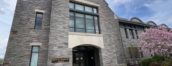 James A. Cannavino Library is one of Marist Check-in's.
