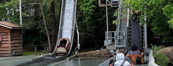 Log Flume is one of Favorite Arts & Entertainment.