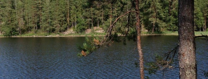 Repoveden kansallispuisto is one of Lugares favoritos de Ivan.