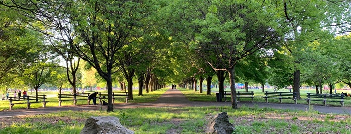 Soundview Park is one of Sv.