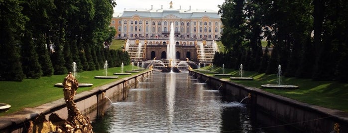 Lower Park is one of St Petersburg To-Do.