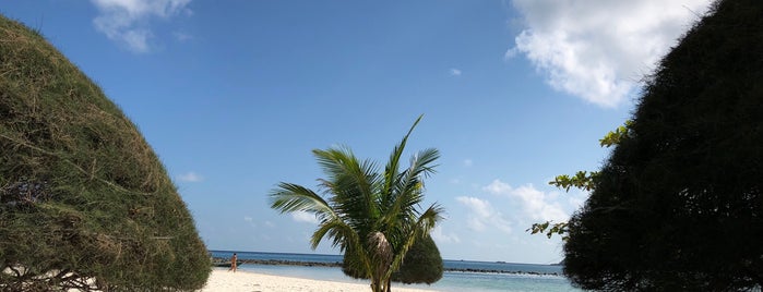 Malibu Beach Bungalows Koh Phangan is one of Best places in Koh Phangan.