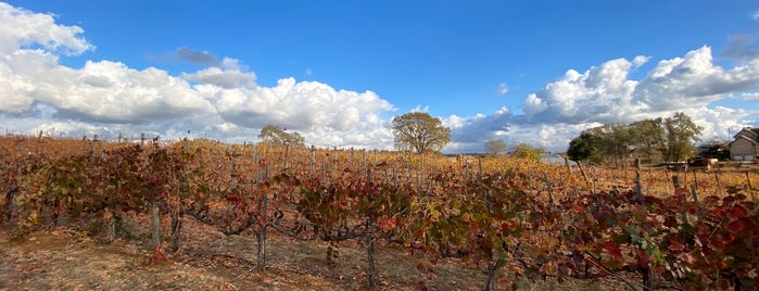 Jeff Runquist Winery is one of Amador Wine Country.