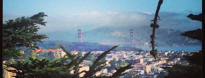 Buena Vista Park Summit is one of 47* hills of San Francisco.