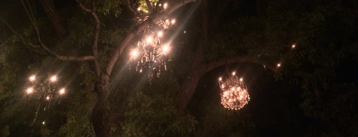 Chandelier Tree is one of Silviaさんのお気に入りスポット.