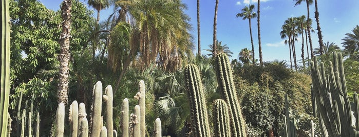 Majorelle Gardens is one of Silvia’s Liked Places.