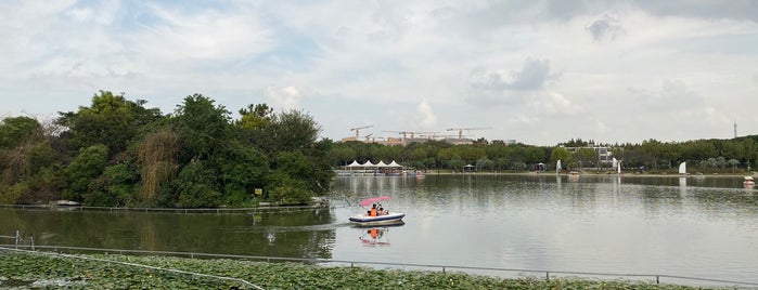 Minhang Sports Park is one of Locais curtidos por leon师傅.