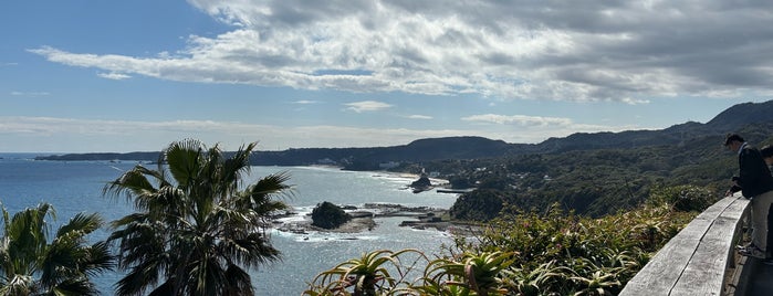 尾ヶ崎ウイング is one of 自然地形.