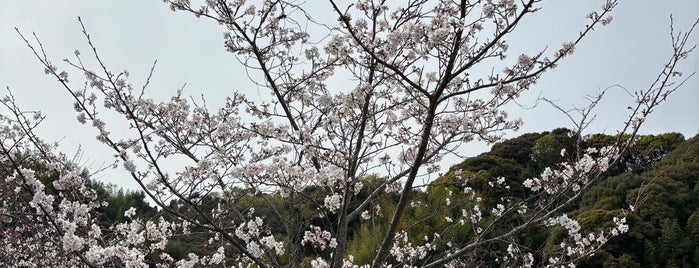 藤枝PA (上り) is one of 高速道路、自動車専用道路.