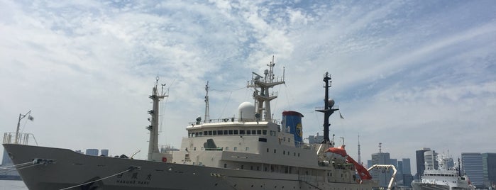 Harumi Passenger Ship Terminal is one of 日曜.